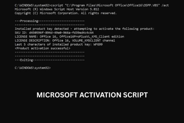 microsoft activation script