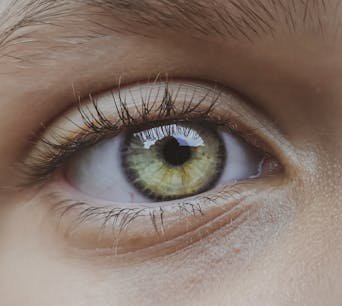 Eye Contact BJ – What People Really Mean and Why Eye Contact Matters in Intimacy